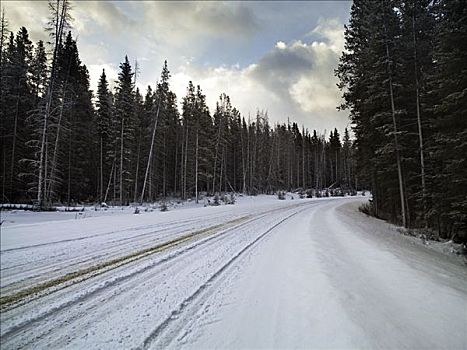 乡村道路,冬天