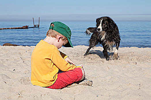 年轻,男孩,读,海滩,狗,看,他,梅克伦堡前波莫瑞州,德国,欧洲