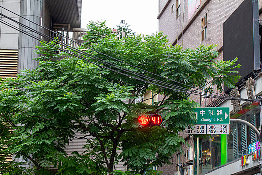 台湾台北的行人号志灯及路边的店招