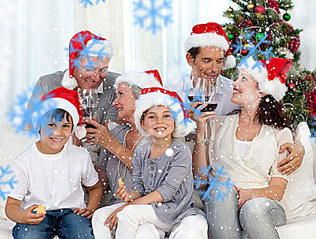 家庭,庆贺,圣诞节,葡萄酒,甜食,在家