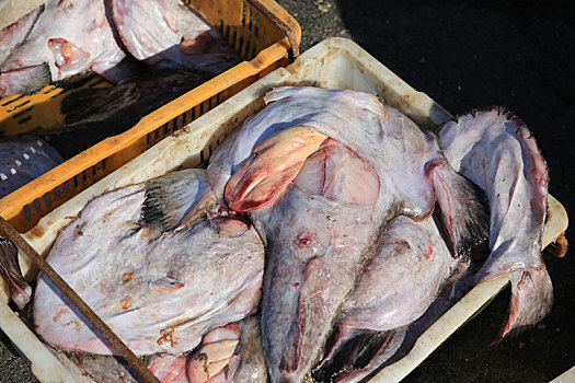 山东省日照市,实拍渔港附近的海鲜市场,新鲜实惠种类丰富让市民大呼过瘾