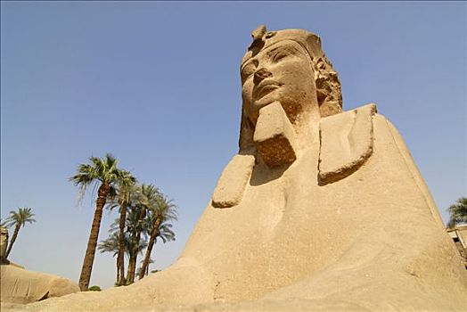 狮身人面像,卡尔纳克神庙,路克索神庙,埃及,北非