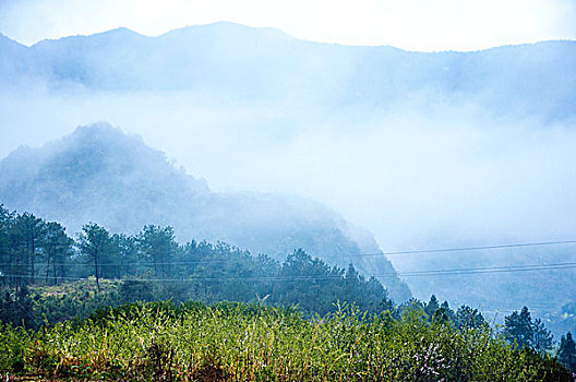 雾色田园