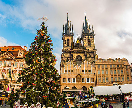 大教堂,圣诞市场,老城广场,历史,中心,布拉格,波希米亚,捷克共和国,欧洲
