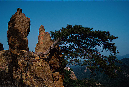 山峰寺院,绿树