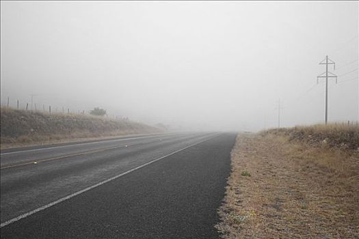 道路,雾,高山,德克萨斯,美国
