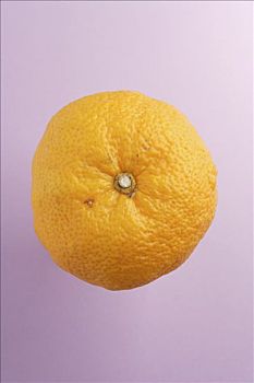 稀有,柑橘,日本