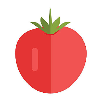 西红柿,矢量,风格,设计,蔬菜,插画,概念,旗帜,象征,象形图,隔绝,白色背景,背景,红色