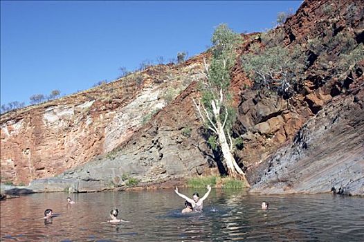 游泳,峡谷,区域,西澳大利亚