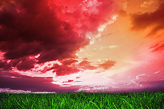 青草,红色,紫色天空