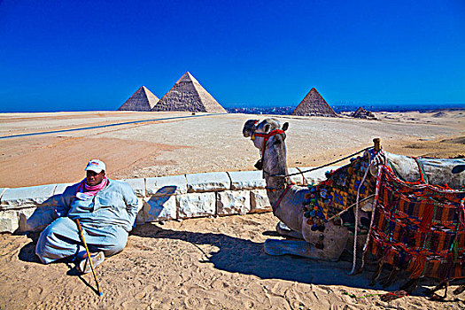 领驼人,骆驼,大金字塔,复杂,吉萨金字塔,开罗附近,埃及