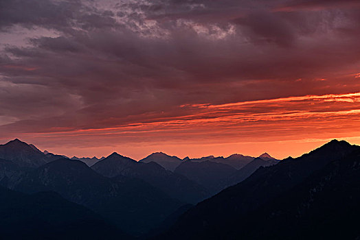 日落,上方,阿尔卑斯山,后面,加米施帕藤基兴