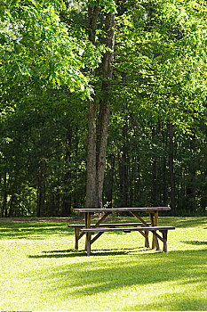 野餐桌,公园,宾夕法尼亚,美国