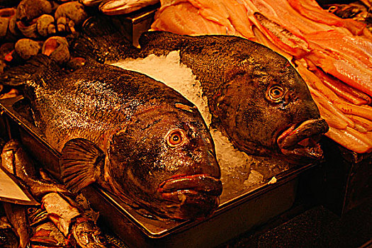 石斑鱼,鱼市,智利