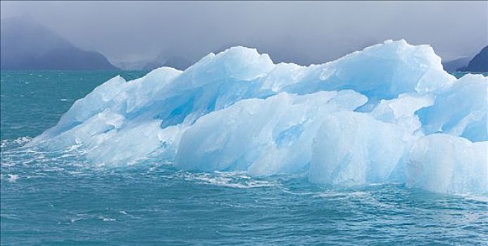 小,蓝色,冰山,冰河,融化,信号,全球变暖,湾,南乔治亚,南大洋,南极辐合带