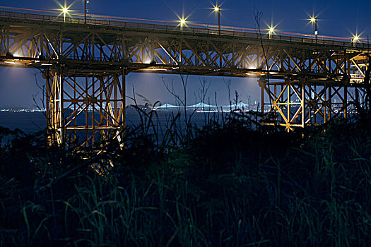 桥,建筑,夜晚