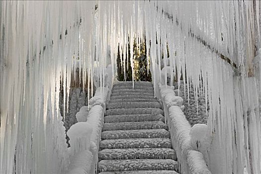 台阶,遮盖,冰,冰柱