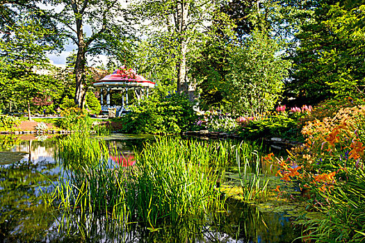 露台,花园,水塘,哈利法克斯,公共花园,新斯科舍省,加拿大