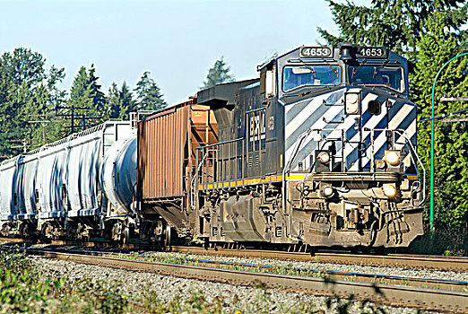 轨道,列车,混合,货运列车,不列颠哥伦比亚省,加拿大