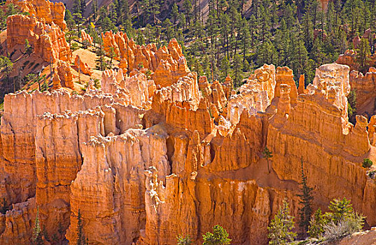 砂岩,怪岩柱,布莱斯峡谷国家公园,犹他