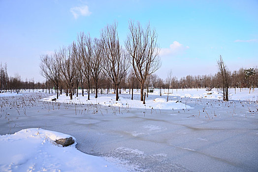 雪景