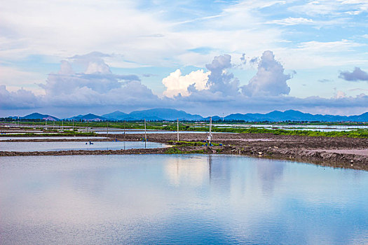 江门银湖湾湿地风光