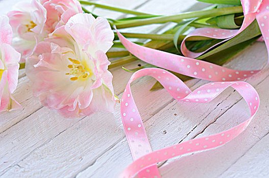 粉色,郁金香,品种,丝带,放置,心形