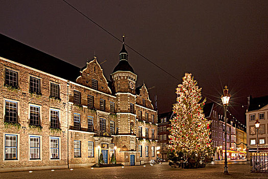 圣诞树,市政厅,杜塞尔多夫