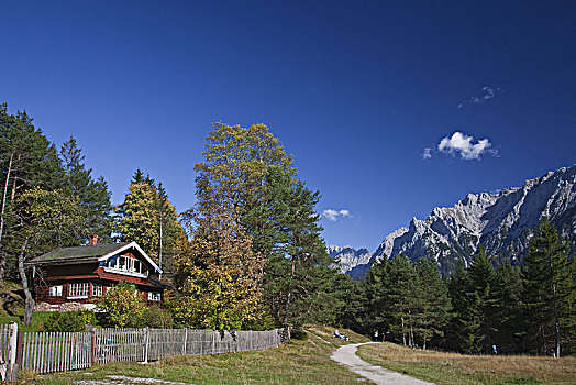 房子,正面,山,米滕瓦尔德,巴伐利亚,德国