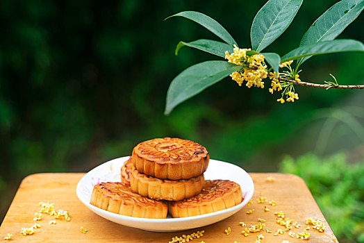 月饼和桂花