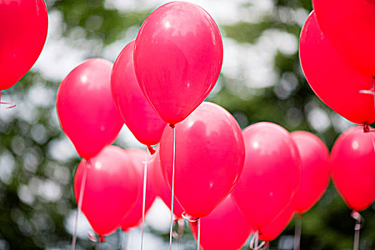 庆贺,概念,粉色,气球,绿叶,聚焦