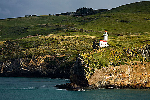 灯塔,海岸,头部,南岛,新西兰