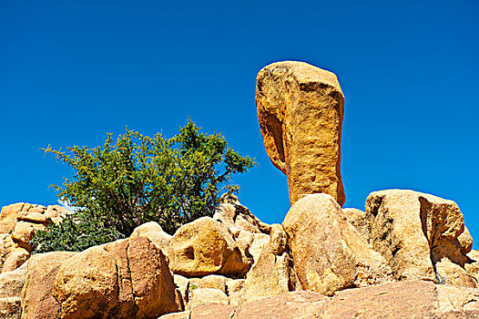 花冈岩,漂石,卧,岩石,岩层,年轻,树,石头,山峦,南方,摩洛哥,非洲