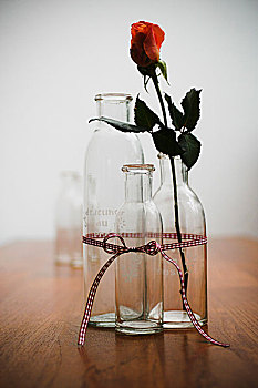 瓶子,玫瑰花,带