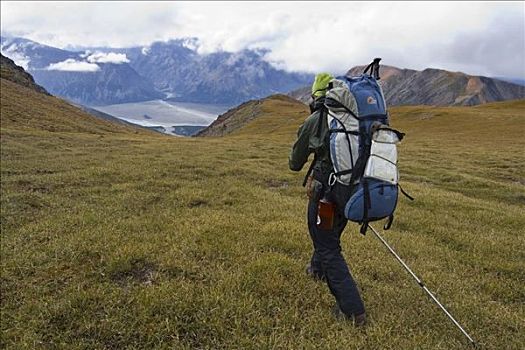 远足者,背包族,下降,高山,苔原,河,后面,路线,山峦,克卢恩国家公园,育空地区,加拿大,北美