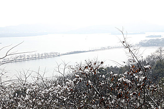 杭州,西湖,树木,树,树林,雪,水墨画,朦胧,仙境,冬天,平静,姿态,断桥,下雪