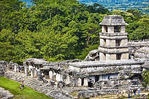 俯拍,游客,古遗址,宫殿,玛雅,帕伦克,恰帕斯,墨西哥