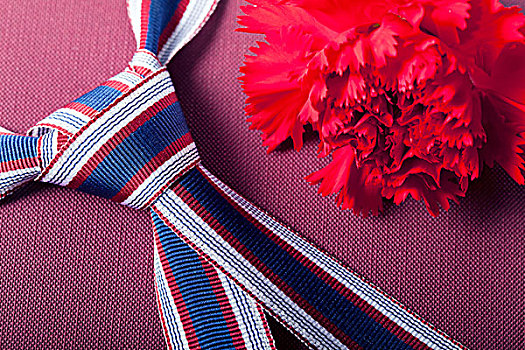 白天,礼物,条纹,丝带,红色,康乃馨