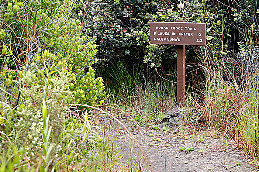路标,指示,远处,小路,夏威夷火山国家公园,夏威夷,美国