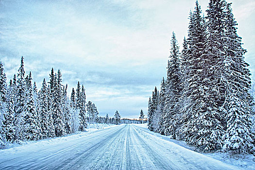 风景,空,积雪,公路,瑞典