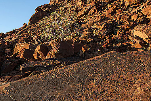石头,绘画,雕刻,岩石构造,杜维尔方丹,区域,纳米比亚,非洲