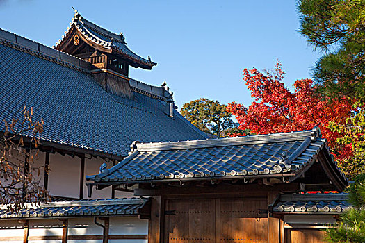 日本京都金阁寺