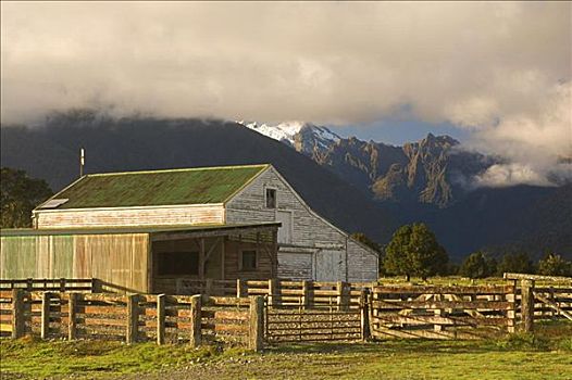 农田,新西兰