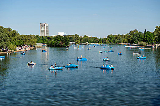 人,划船,船,蜿蜒,海德公园,晴朗,白天