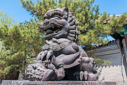 北京市颐和园石狮雕像建筑景观