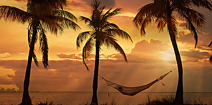 美女,倚靠,吊床,日落,迈阿密海滩,佛罗里达,美国