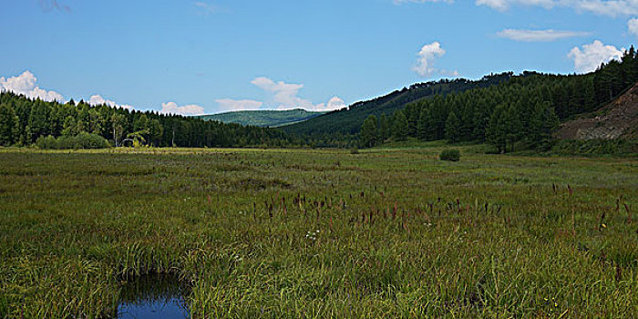 阿尔山