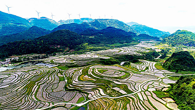 山村梯田变旱田,美景依旧