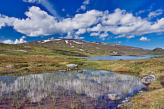 风景,湖,国家公园,挪威,斯堪的纳维亚,欧洲