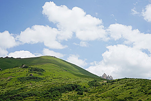 则岔石林